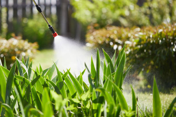 24/7 Emergency Termite Control experts in Adel, GA