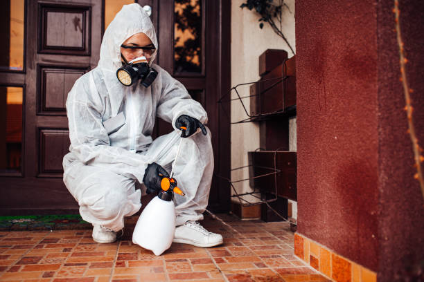 Reliable Termite Control contractor in Adel, GA by Nex Pest Control