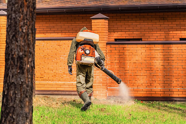 Trusted Rodent Control service in Adel, GA - Nex Pest Control